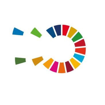 Stratégie Responsabilité Sociétale des Organisations